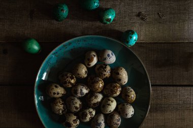 Quail eggs in teal colored plate, colored eggs on wooden rustic background, closeup view