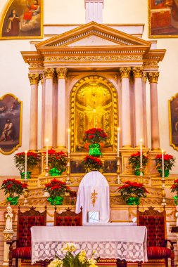 Bazilika Templo De La Compania Guanajuato Meksika
