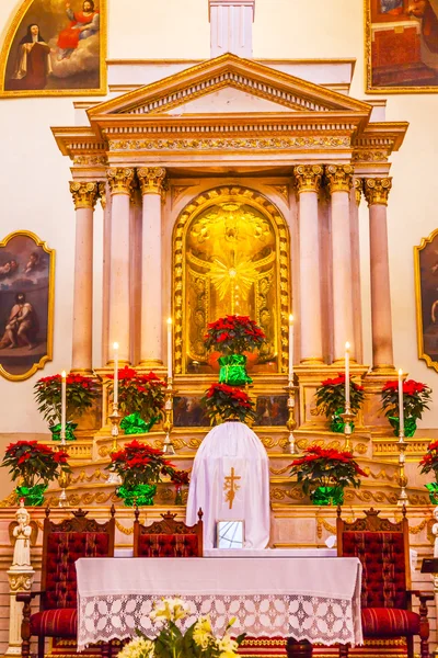 Bazilika Templo De La Compania Guanajuato Mexiko — Stock fotografie