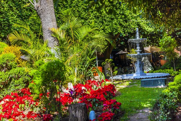 Union Garden Jardin Guanajuato Mexico — Stock Photo, Image
