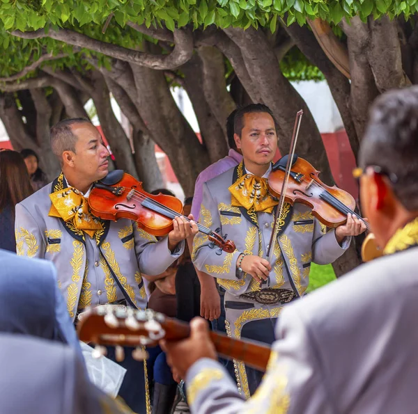 Mariachi Band Violin Players Jardin San Miguel de Allende Mexico — Stock Photo, Image