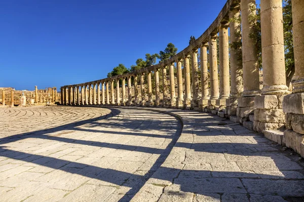 Oval Plaza 160 iyonik sütun Antik Roma kenti: Jerash Jordan — Stok fotoğraf