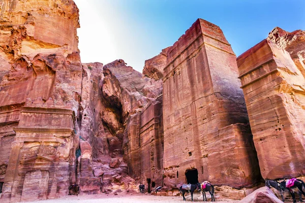Rose Red Rock Tombs Afternoon Street av fasader Petra Jordanien — Stockfoto