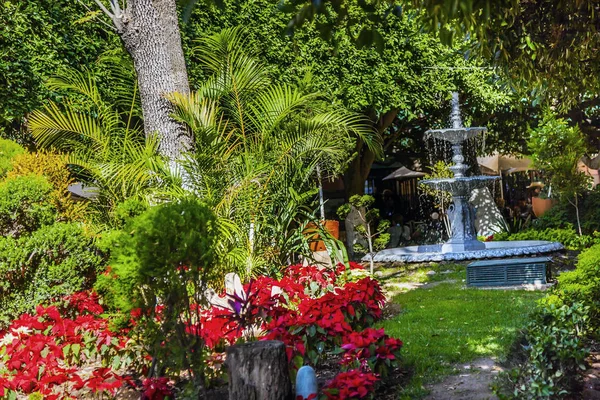 Union Garden Jardin Guanajuato Mexico — Stock Photo, Image