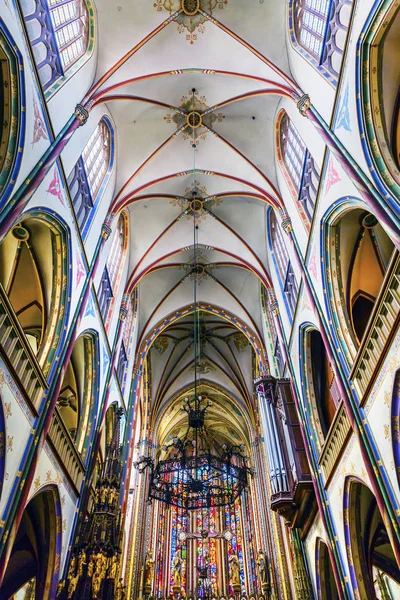 Basilique Christ Crucifix Stained Glass De Krijtberg Church Amsterdam Pays-Bas — Photo
