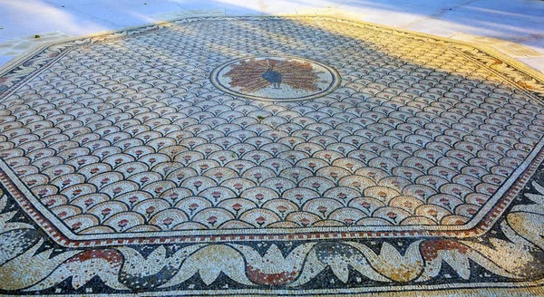 Octagon Mosaic Peter's House Sea of Galilee Capernaum Israel — Stock Photo, Image