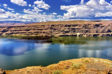 Wanapum Gölü Kolombiya Nehir yaban atları anıt Washington