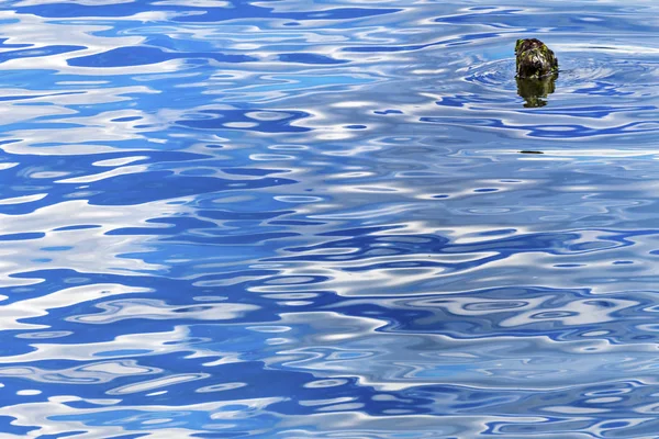 Modré vodě odraz abstraktní jezeře Coeur d' Alene Idaho — Stock fotografie