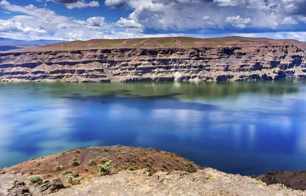 Campo Wanapum Lago Colombia Fiume Wild Horses Lun — Foto Stock