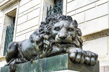 Üzgün aslan Cochran Art Gallery Washington Dc kapalı