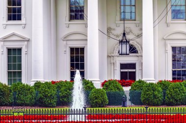 Beyaz Saray kapı kırmızı çiçekler Pennsylvania Ave Washington Dc