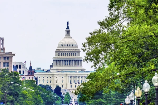 Нас Capitol Пенсільванія авеню влітку зелені дерева Вашингтон, округ Колумбія — стокове фото