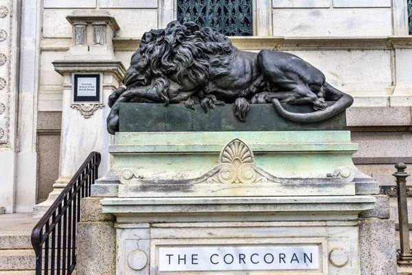 绝望中的狮子关闭艺术华盛顿科克伦库 — 图库照片