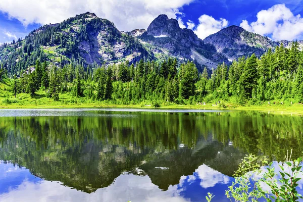 Picture Lake Evergreens Washington USA — Stock Photo, Image
