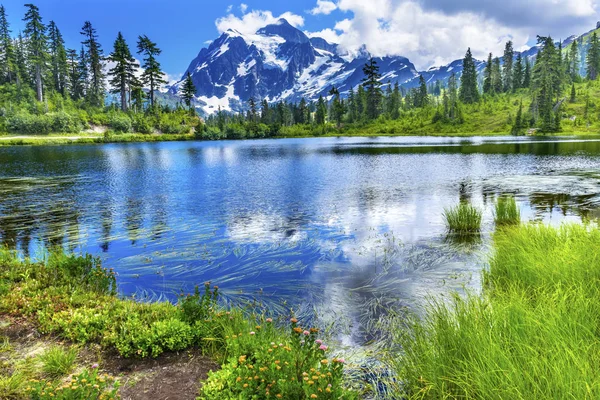 Picture Lake Evergreens Mount Shuksan Washington SUA — Fotografie, imagine de stoc