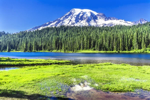 Reflexión Lago Paraíso Monte Rainier Parque Nacional Washington —  Fotos de Stock