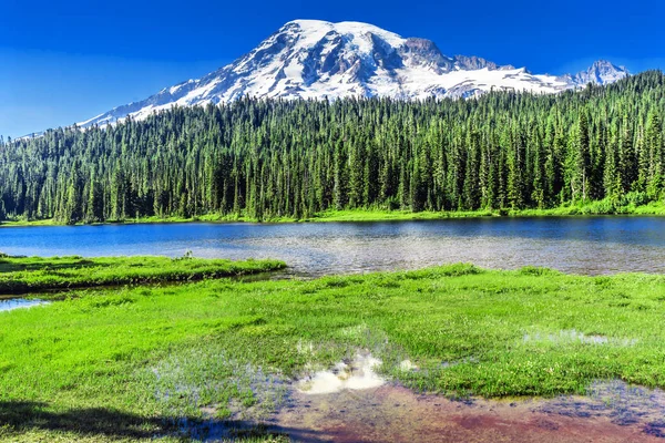 Speglar sjön Paradise Mount Rainier National Park Washington — Stockfoto