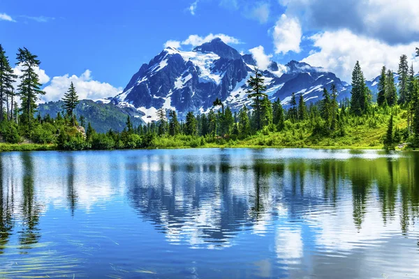 Picture Lake Evergreens Mount Shuksan Washington USA — Stock Photo, Image