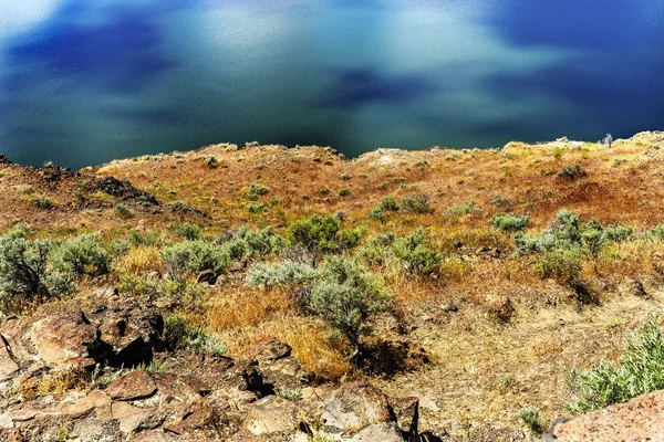 Wanapum sjön Colombia River Wild hästar Monument Washington — Stockfoto