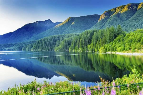 Capilano Reservoir Lake groene bergen Vancouver Brits Colombia Canada — Stockfoto