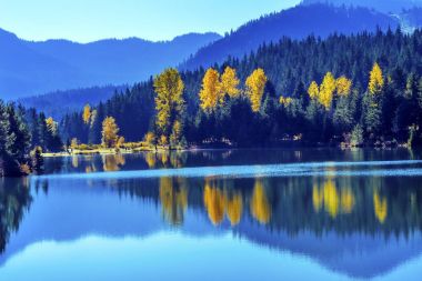 Mavi su Yewllow ağaçlar Altın Göl sonbahar Snoqualme Pass Washington