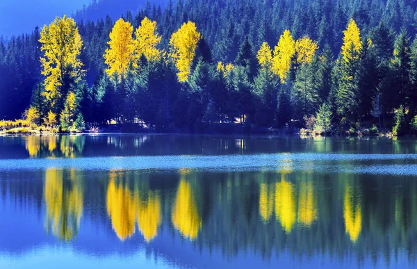 Modrá voda Yewllow stromy zlaté jezero podzim Snoqualme Pass Washington — Stock fotografie