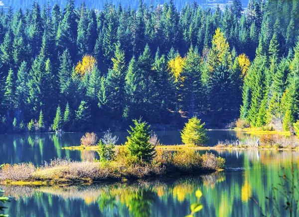 Zelená žlutá ostrov odraz zlaté jezero podzim Snoqualme Pass Washington — Stock fotografie