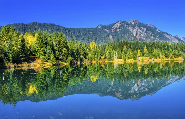 绿色金黄湖反射 Snoqualme 通过华盛顿 — 图库照片