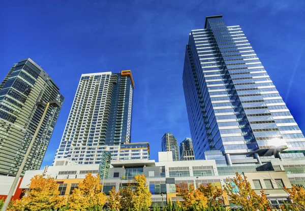 Nové podzimní listí Bellevue Washington vysoké budovy — Stock fotografie