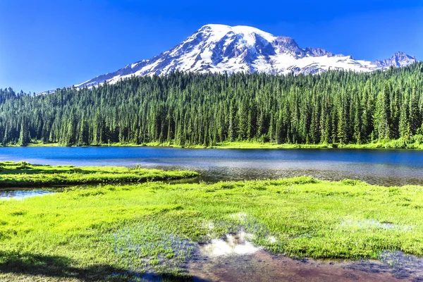 Odraz jezera Paradise Mount Rainier National Park Washington — Stock fotografie