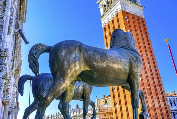 Campanile Tower Horses Saint Mark\'s Basilica Mosaic Piazza Venic