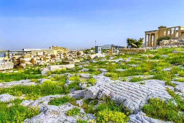 Ruinas Templo Erechtheion Amarillo Flores silvestres Acrópolis Atenas Grecia — Foto de Stock