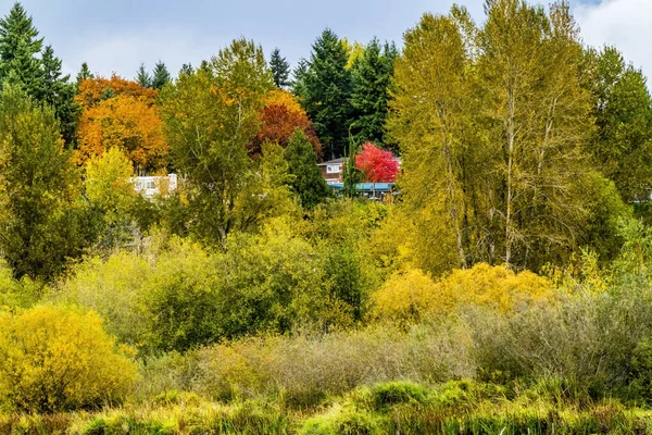 Colori autunno Juanita Bay Park Kirkland Washington — Foto Stock