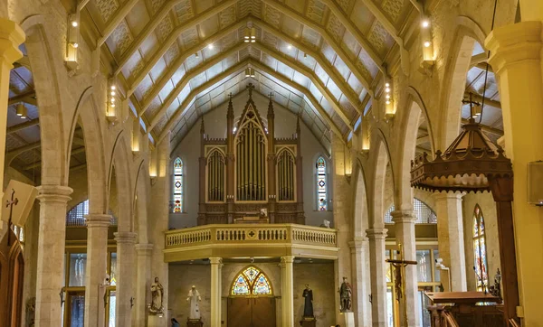 Deur Orgel Kathedraal San Fernando San Antonio Texas — Stockfoto