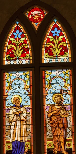 Saints Stained Glass San Fernando Cathedral San Antonio Texas — Stock Photo, Image