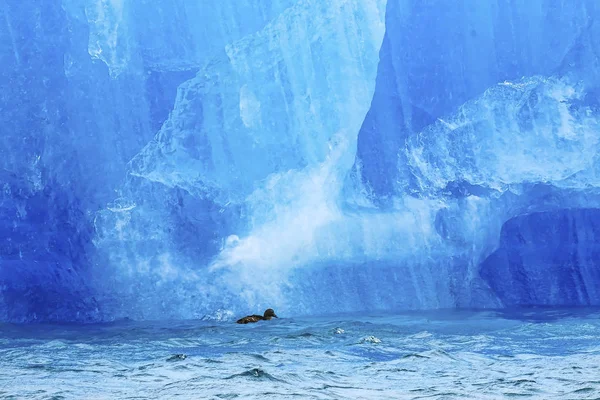 Blue Large Iceberg Ducks Jokulsarlon Glacier Lagoon Islândia — Fotografia de Stock