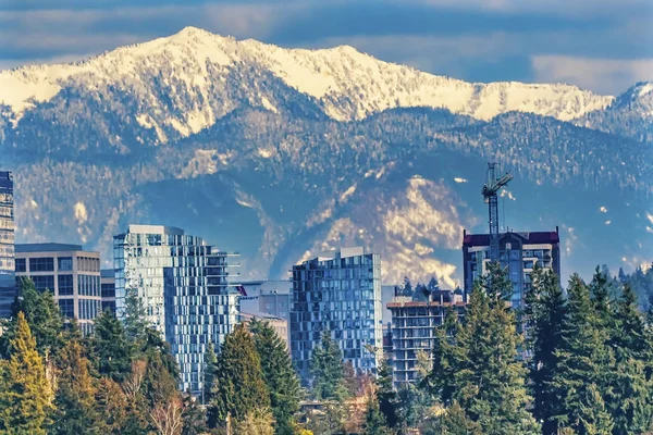 Lägenhet Byggnader Lake Washington Snö Capped Mountains Bellev — Stockfoto