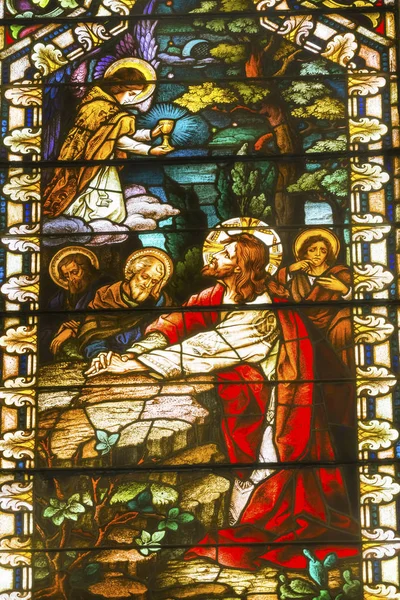 Jesús Getsemeno Vidrieras Iglesia Católica de Santa María San Antonio Texas — Foto de Stock