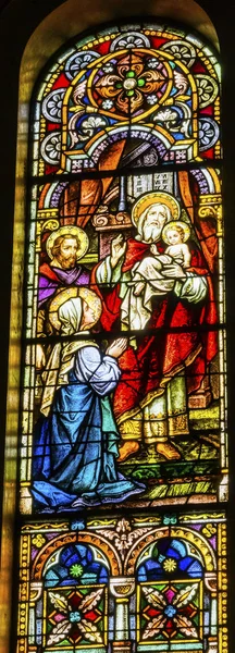 Jesusbarnet Simeon, farget glass Sankt Marias katolske kirke San Antonio Texas – stockfoto
