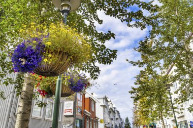 Çiçek Sepetleri Demirci Dükkanı Alışveriş Sokağı Reykjavik İzlanda 'yı Korudu