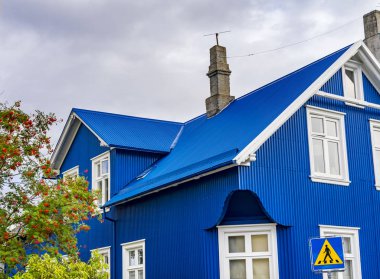 Renkli Mavi Saray Kırmızı Böğürtlen Sokağı Reykjavik İzlanda