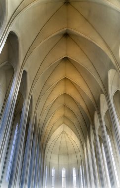 Yüksek Kol Tavanı Hallgrimskirkja Kilisesi Reykjavik İzlanda