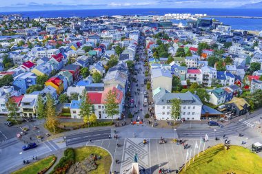 Leif Eriksson Heykeli Renkli Evler Sokaklar Reykjavik İzlanda