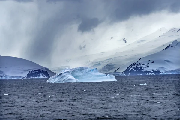 Yüzen Mavi Buz Buzulları Charlotte Limanı Antarktika — Stok fotoğraf