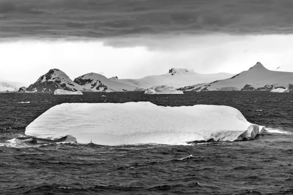 Flotante Negro Blanco Iceberg Agua Antártida — Foto de Stock