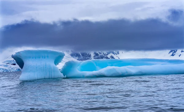 Plovoucí modrý ledovec Sníh Ledovce hory Charlotte Bay Anta — Stock fotografie