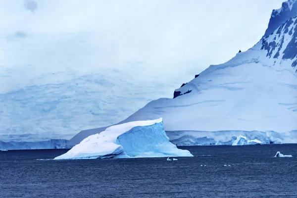 Blauer Eisberg Schneeberge Gletscher charlotte bay antarktis — Stockfoto