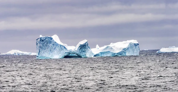 漂移的蓝色冰山雪人山脉夏洛特湾安塔 — 图库照片