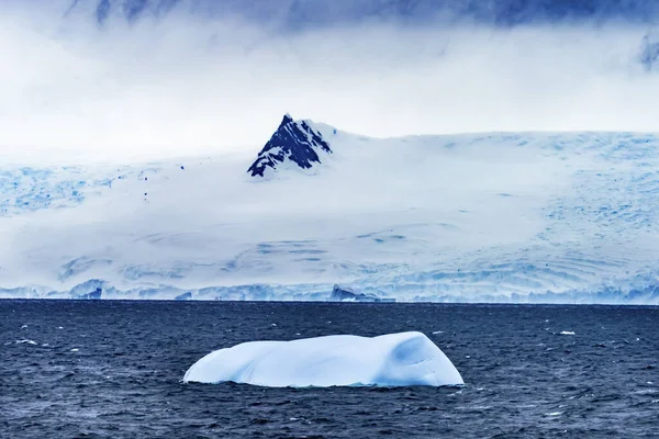 Floating Blue Iceberg Snow Glaciers Montanhas Charlotte Bay Anta — Fotografia de Stock