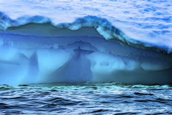 蓝色冰山漂浮海水夏洛特湾南极半岛南极洲 冰河蓝色 因为空气从雪中挤出来 — 图库照片